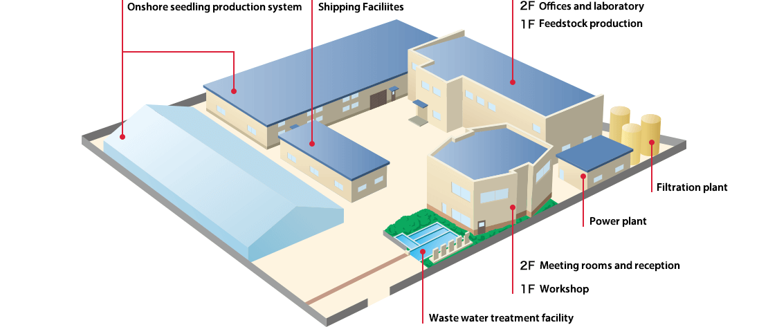 1.Onshore seedling production system 2.Shipping Faciliites 3.Waste water treatment facility 4.1F Workshop 2F Meeting room and reception 5.Feedstock production Offices and laboratory 6.Power plant 7.Filtration plant